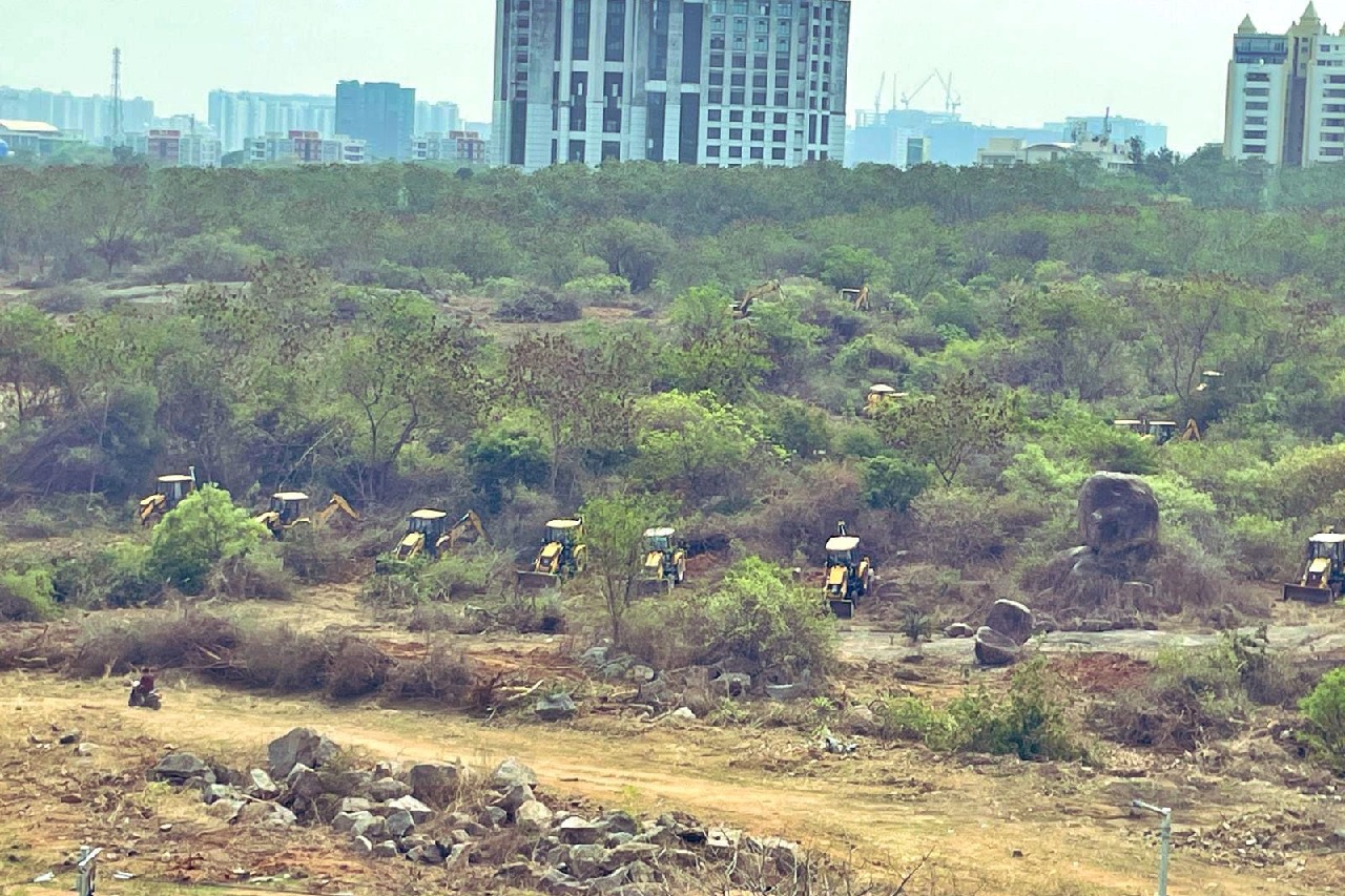 Telangana HC extends stay on tree felling near HCU till April 7