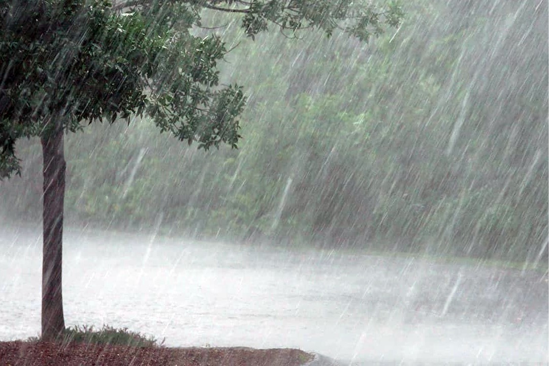 Unseasonal rains again damage agriculture crops in Telangana