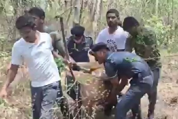 BRS urges SC to take cognisance of deer’s death after tree felling near HCU