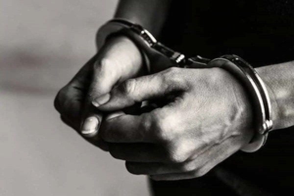 Indian-origin man charged with sexual assault on plane in US