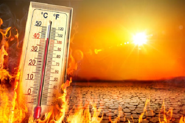 Summer Heat and Diabetes A Warning for Sugar Patients