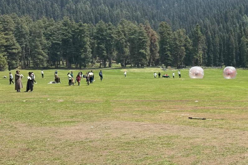 Security Forces Detain Suspect After Pahalgam Attack