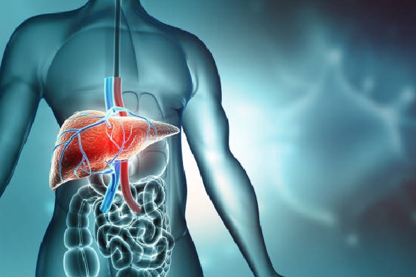 10 Foods to Boost Your Liver Health