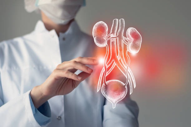 Common Habits That Damage Kidneys