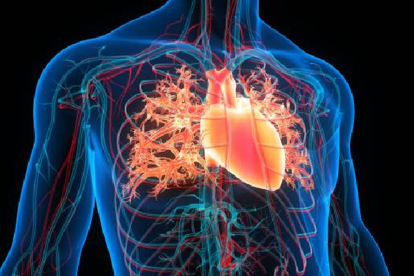 How Poor Sleep Can Trigger Serious Cardiovascular Changes