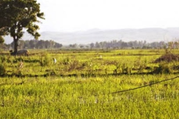 Tension in Telangana village as protest against ethanol plant turns violent