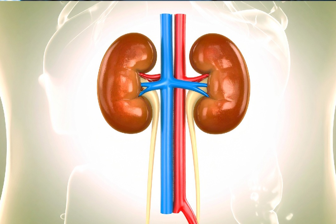 Prior Covid vaccination proved beneficial for acute kidney injury patients: Study