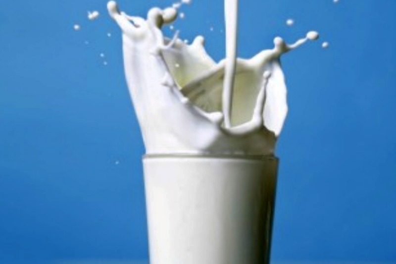 Himachal first to procure cow, buffalo milk on MSP