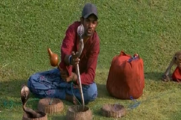 SL vs Ban: Fan with cobras and monkey in attendance takes ‘Naagin Derby’ to an extreme level