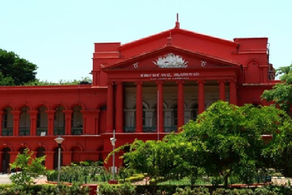 B'luru stampede case: RCB challenges Tribunal's order blaming it for drawing crowds