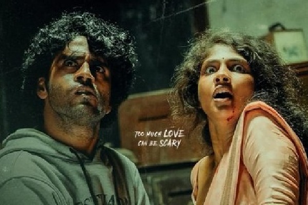 Saaree review poster