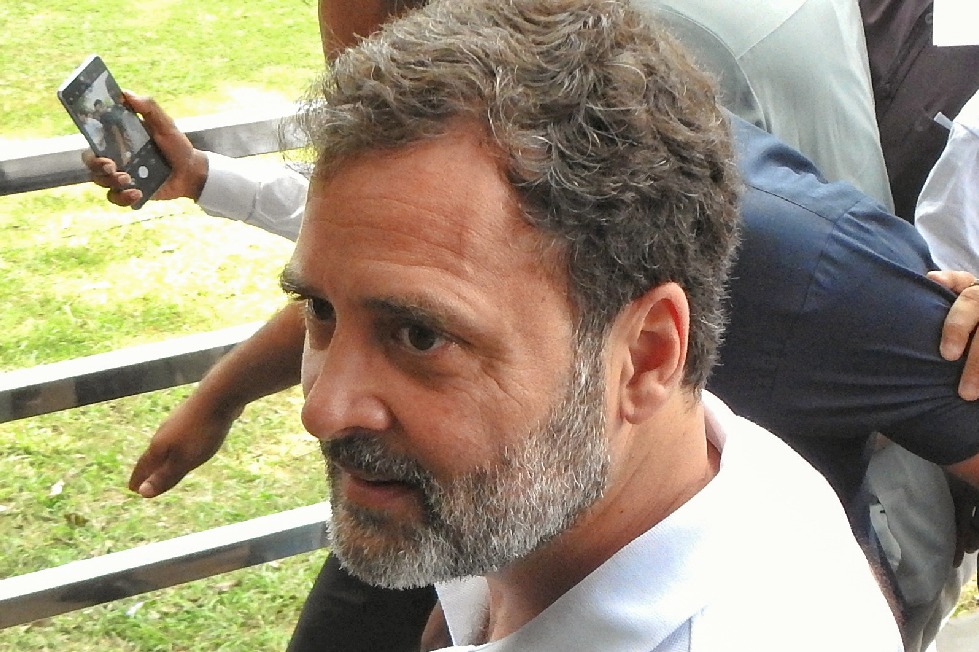 A step back from decades of humane, science-backed policy: LoP Rahul Gandhi on SC order to remove all stray dogs