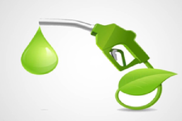 'Better acceleration, ride quality, environment-friendly': Govt allays fears over ethanol-blended petrol