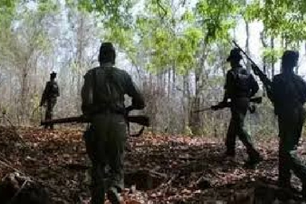 Maoist killed in encounter with police in Chaibasa, SLR rifle seized