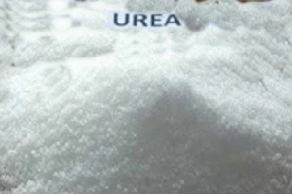 Urea shortage hits Telangana farmers hard