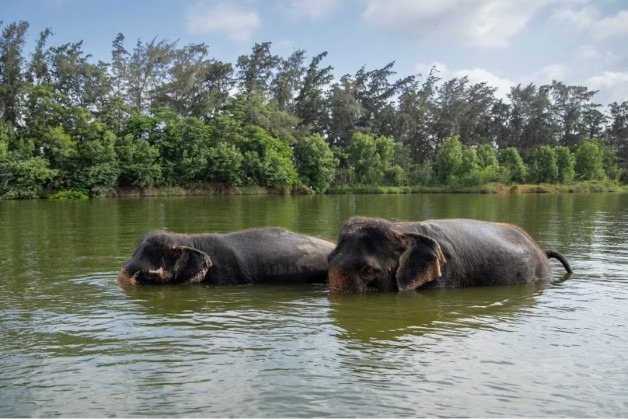 Will fully comply with SC order to appoint SIT: Vantara