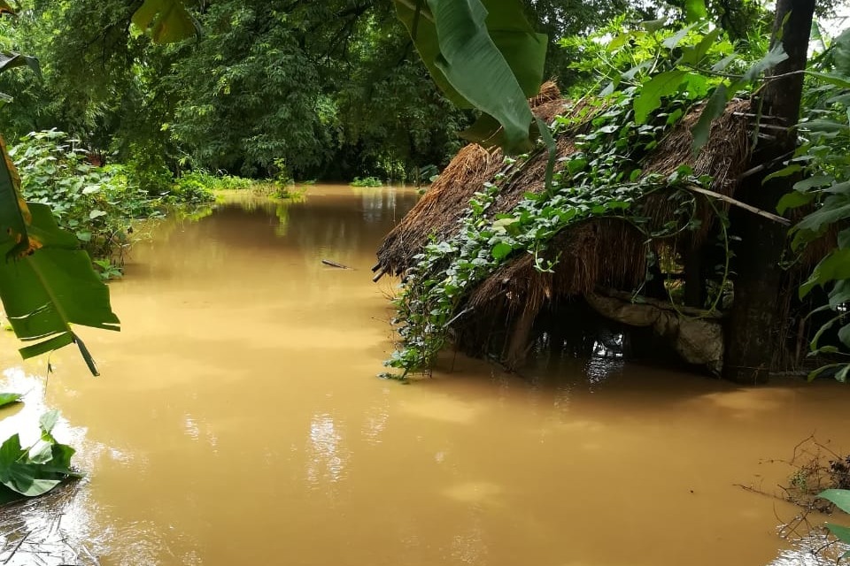 IMD issues heavy rainfall warning for Odisha amid flood crisis