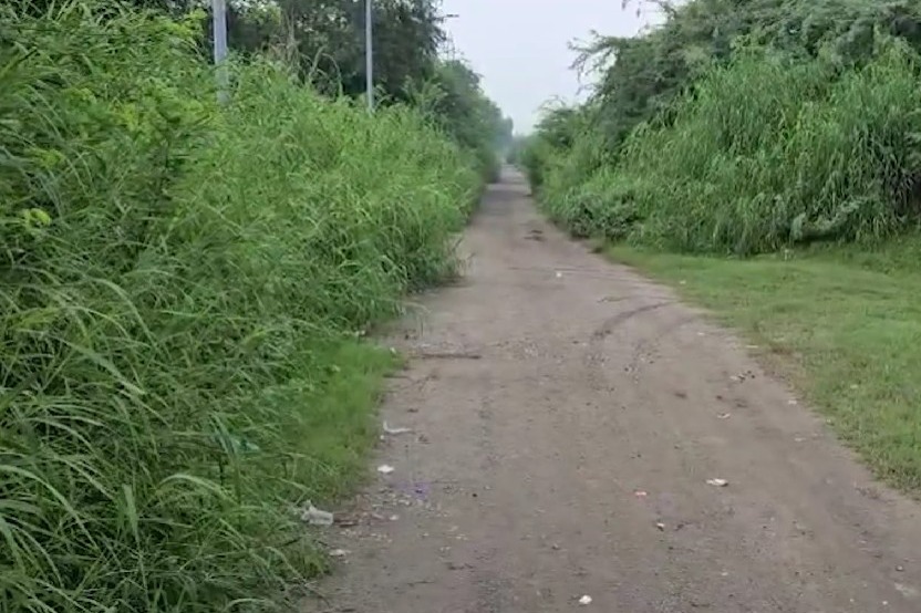 Delhi Police nab two US-based Harry Boxer gang members