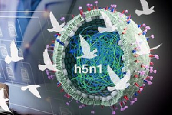 New genAI tool to detect bird flu virus exposure, boost H5N1 surveillance