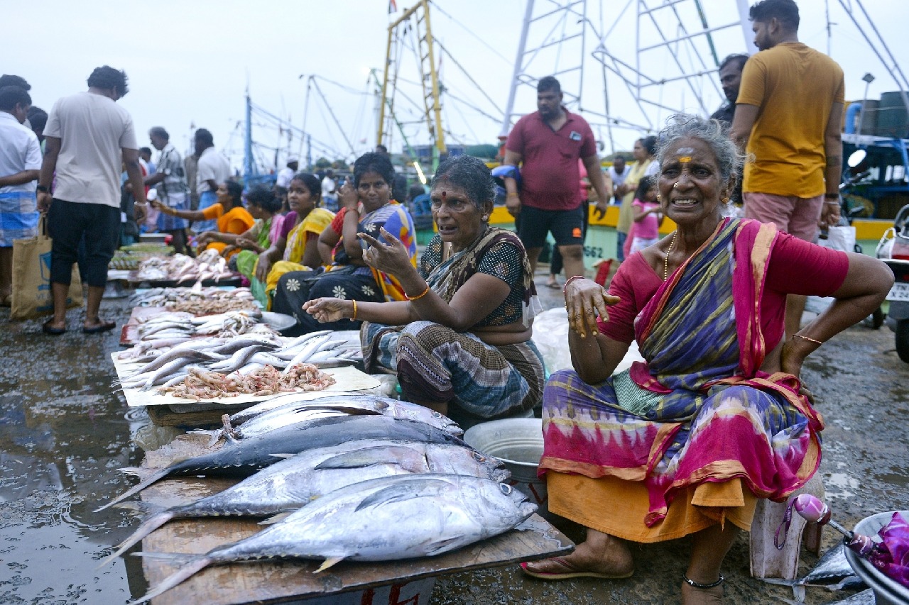 GST rate cut across fisheries value chain to boost India’s Blue Economy: Govt