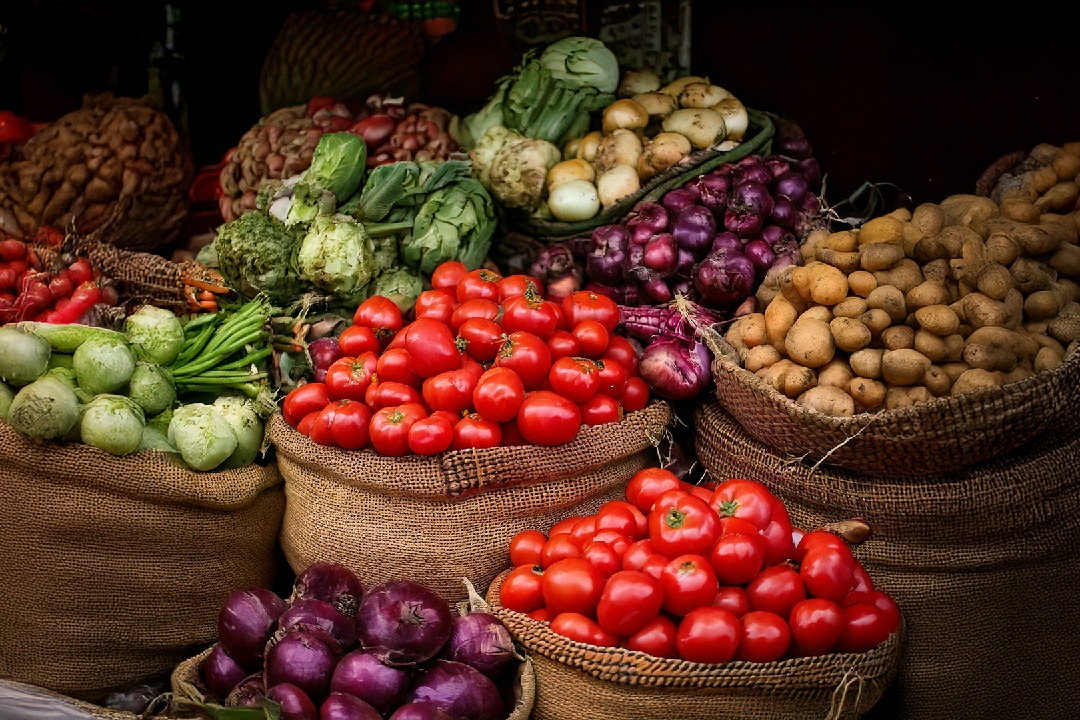 GST reforms to moderate CPI inflation in range of 65-75 bps over FY26-27