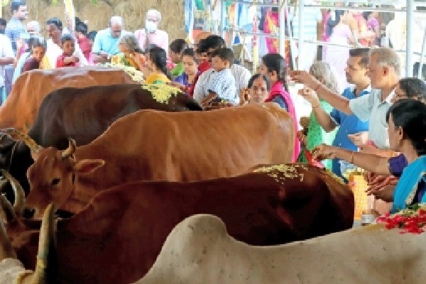 GST revamp to boost cooperative sector, 10 crore dairy farmers: Govt