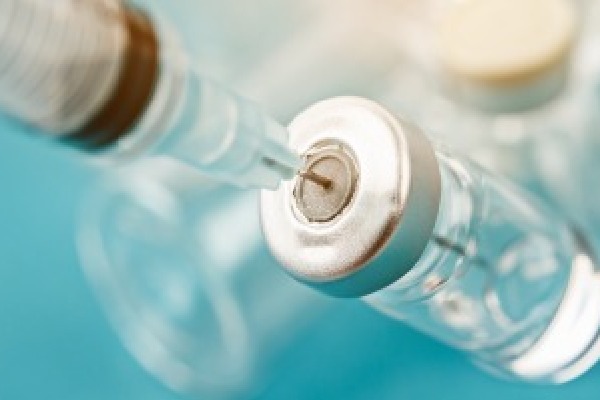 Australia approves world-first vaccine to save koalas from chlamydia