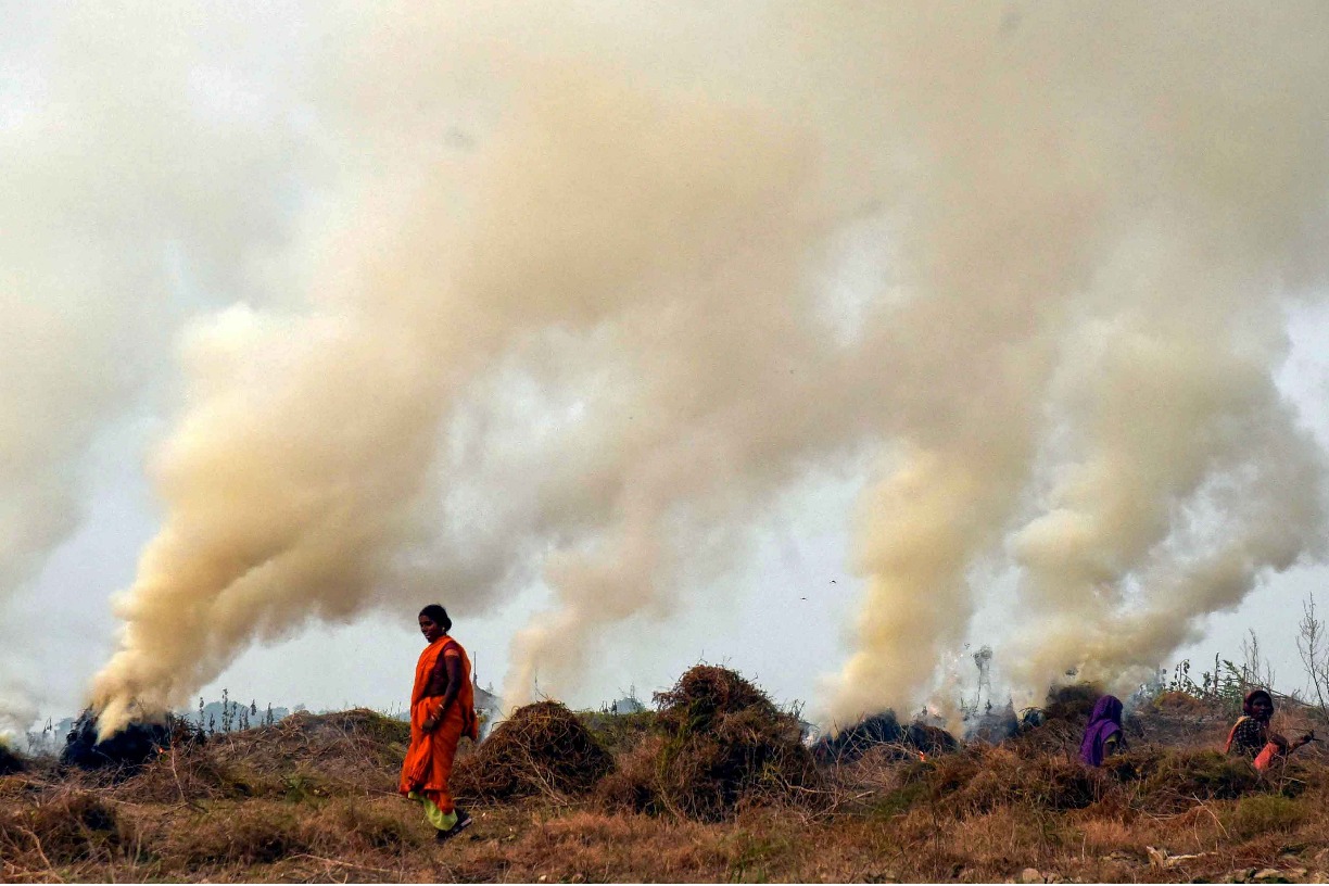Consider arrests, strict action to curb stubble burning: SC to govt