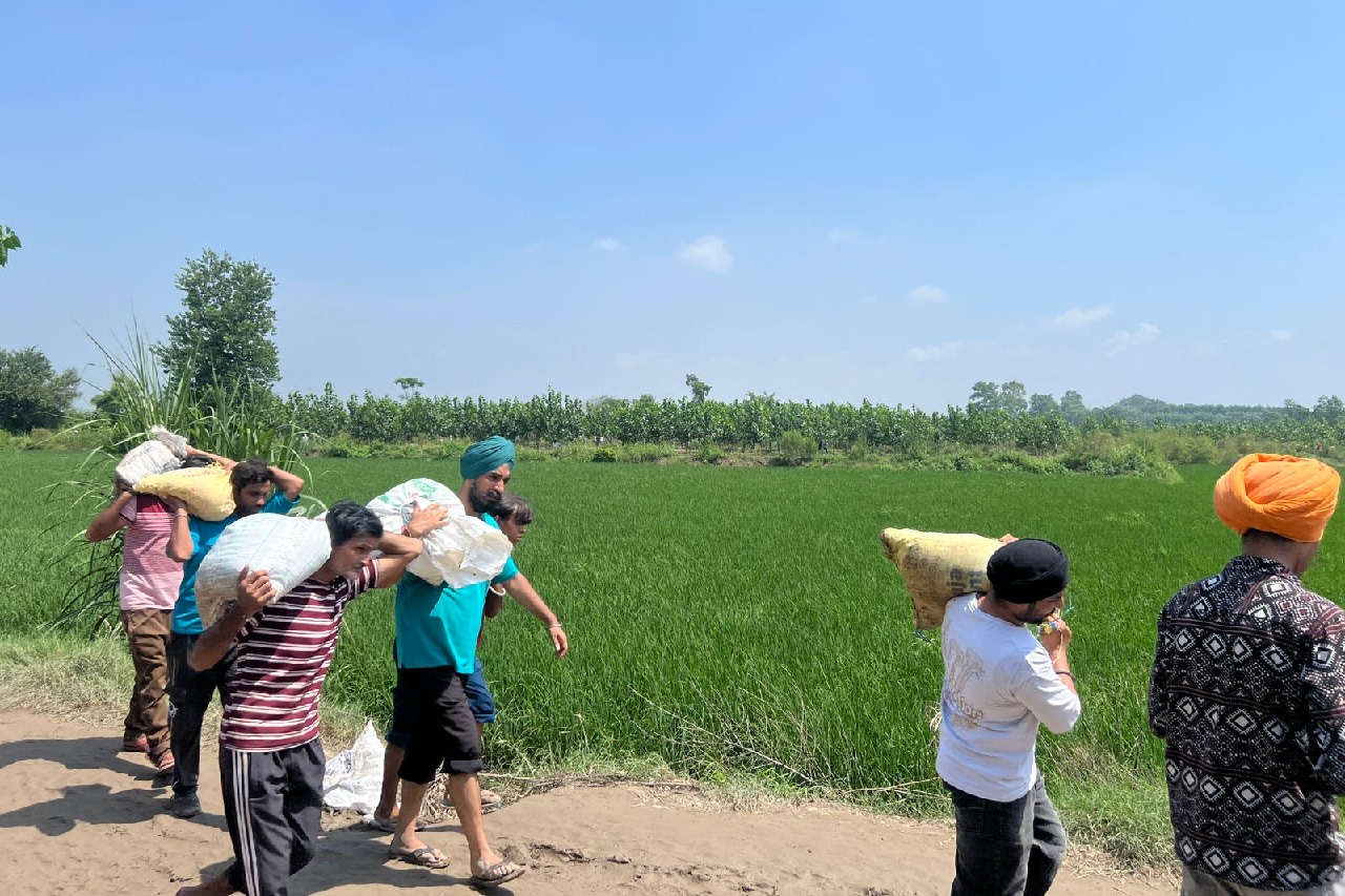 Udta Punjab no more! Youth high on spirit of 'sewa', 'Chardi Kala' helping in survival, revival of flood-ravaged state