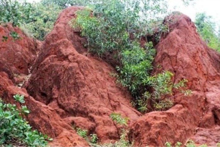 A look at India’s 7 natural heritage locations, picked up as UNESCO’s world heritage sites