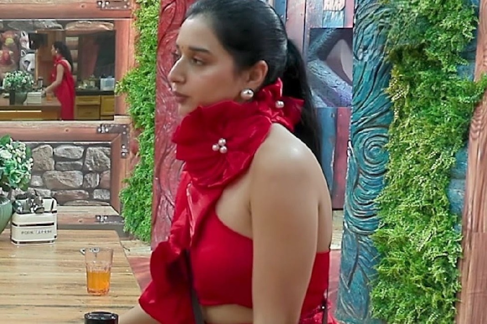 Bigg Boss 19: Baseer Ali calls Tanya Mittal “real”, feels she is just like him