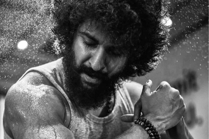 Pawan Kalyan's OG is Original Giant Blockbuster, says Nani