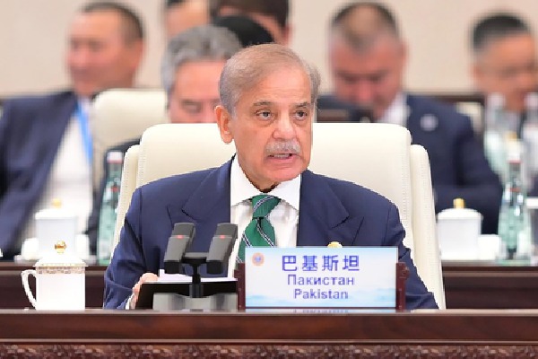 Pakistan a US ally, at White House convenience