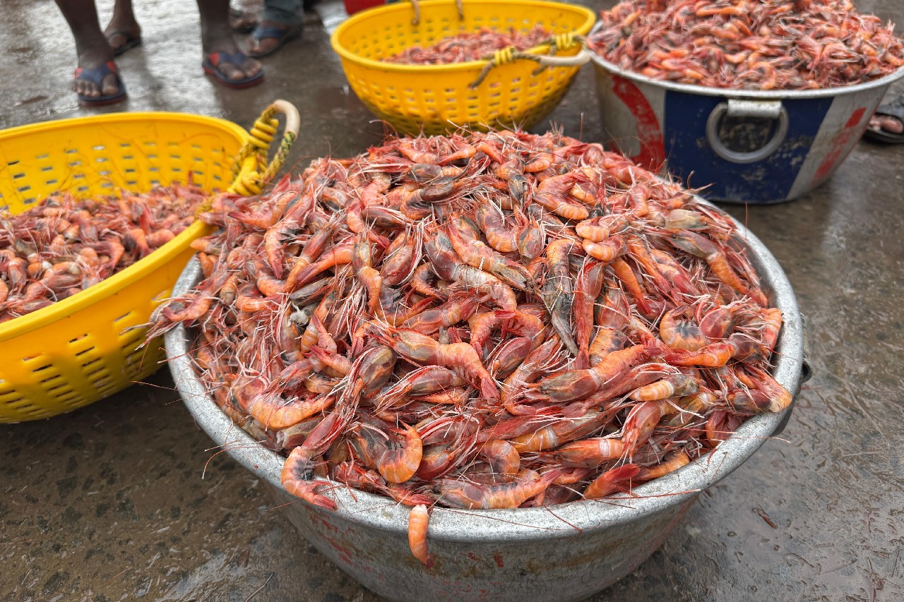 India moves closer to global certification for 10 fish species