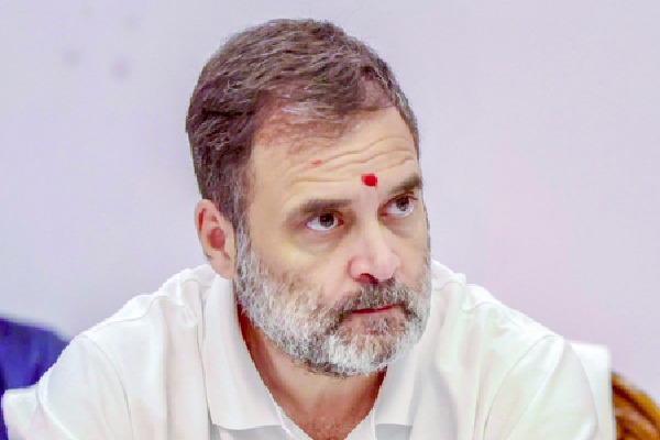 Ex-US official reacts to Rahul Gandhi, says leaders must prioritise Indian values