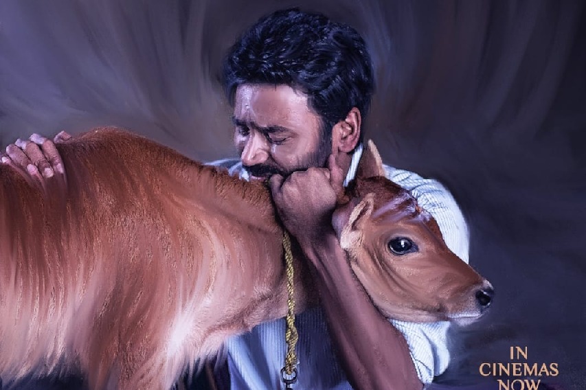 Idli Kadai's success: Dhanush celebrates by offering prayers at ancestral temple; treating those from his village to a feast