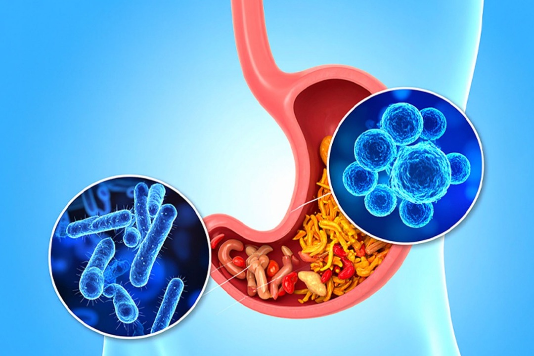 A healthier gut may help improve depression and anxiety, says study