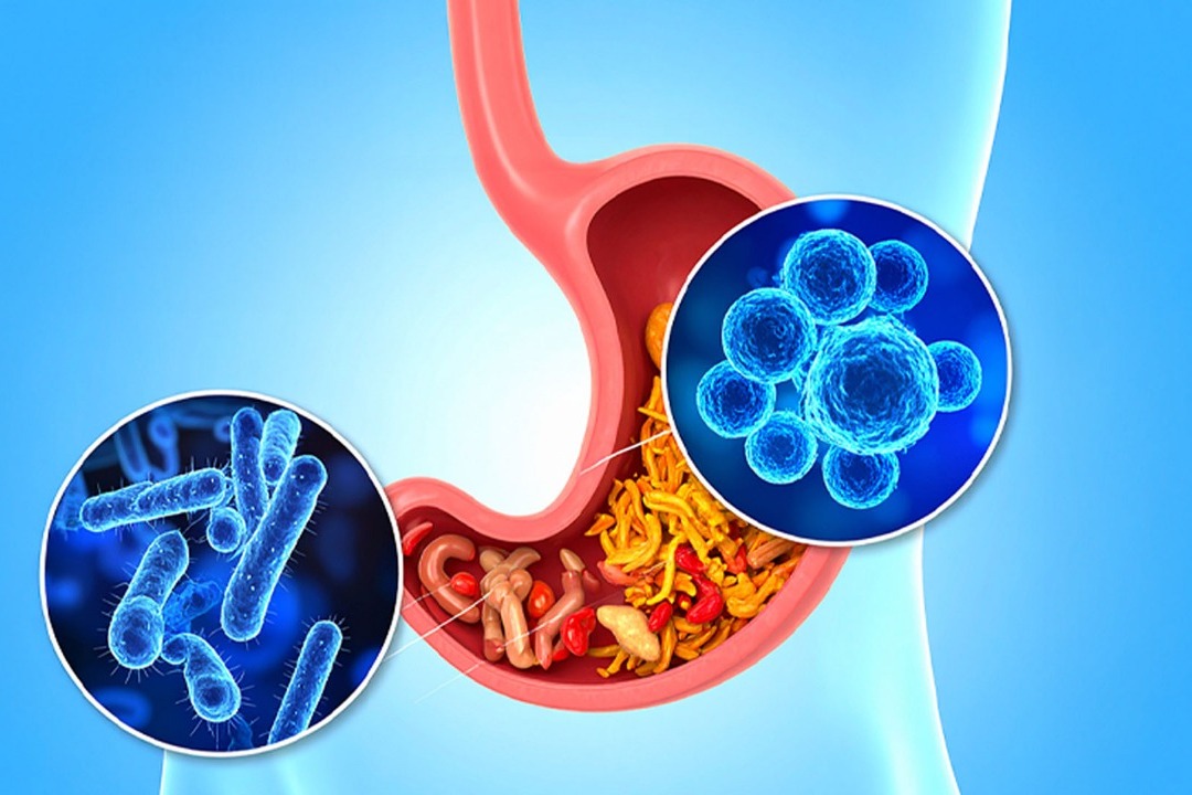 New antibiotic to curb dangerous gut bacterium with a low dose