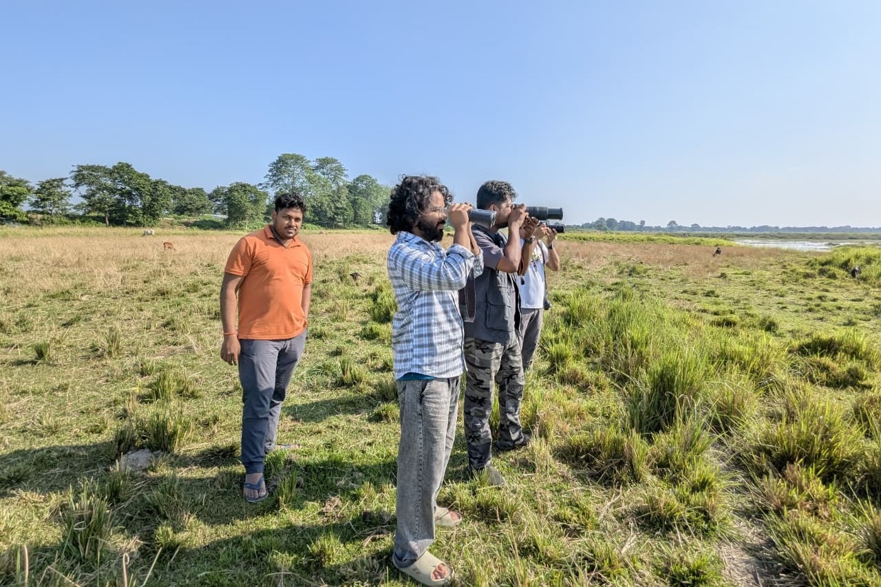 Assam’s Kaziranga records 146 bird species in latest survey