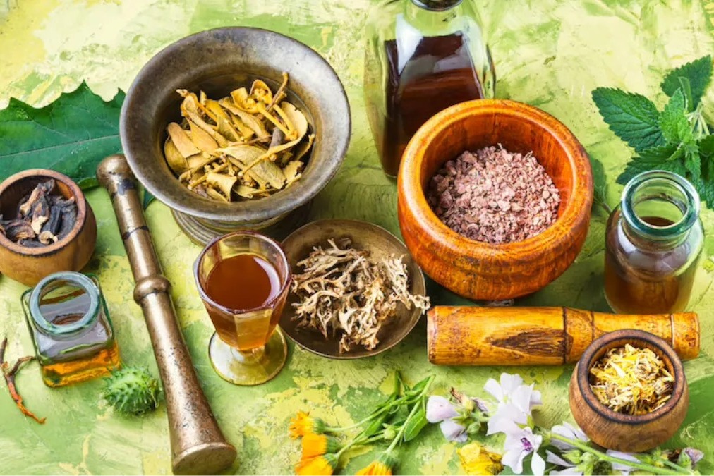Ayurveda Day transformed from national observance into a global health movement: CSIR-NIScPR