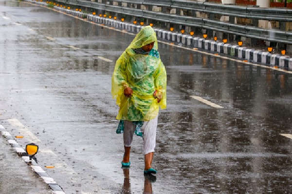 Alert in Andhra Pradesh as heavy rain lashes Rayalaseema, South Coast