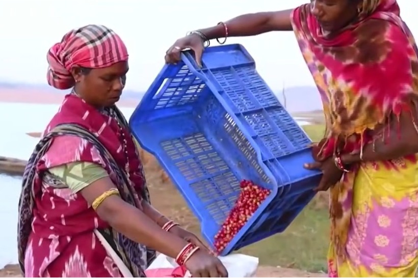 India's coffee brewed in India, loved by world: PM Modi in 'Mann Ki Baat'