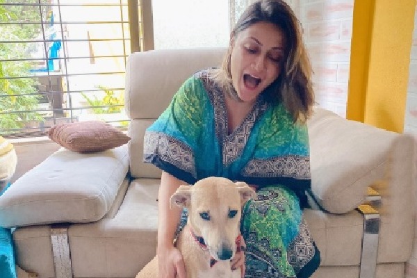 Urvashi Dholakia hits back at trolls questioning her support for stray animals after Supreme Court order
