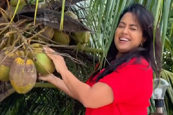 Sameera Reddy calls coconut water ‘nature’s OG sports drink’ in a humorous post
