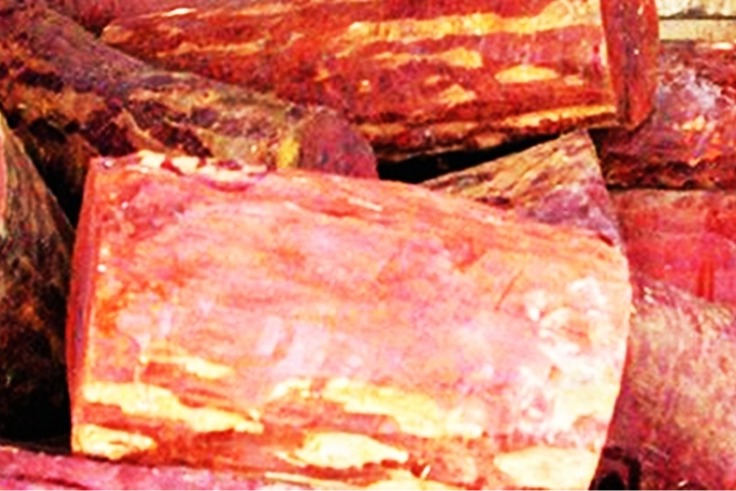 Biodiversity authority releases Rs 39.84 crore for Andhra Red Sanders protection