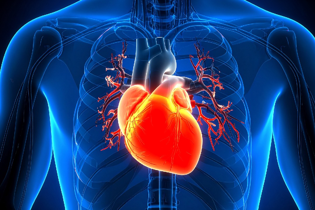 Current heart attack screening tools missing 45 pc people at risk: Study