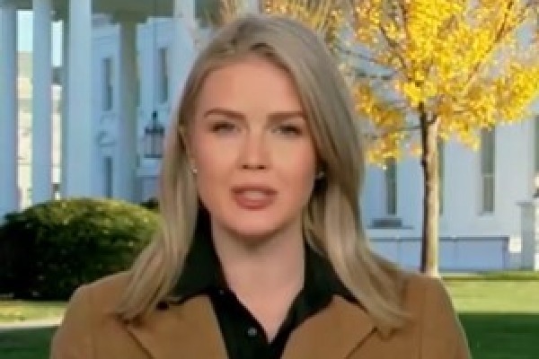 White House defends Trump’s H-1B stance as 'common sense'