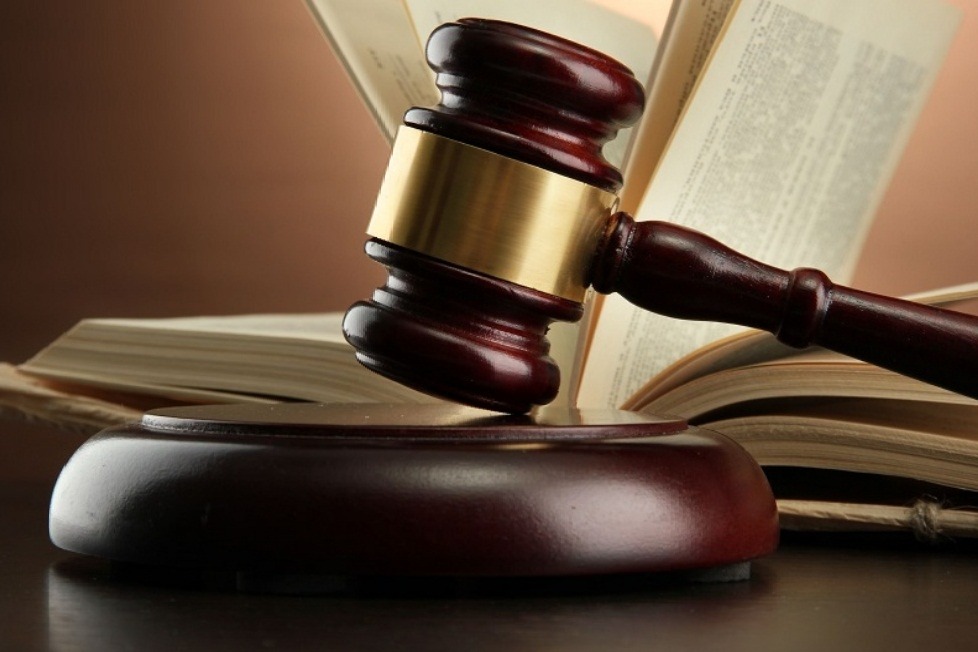 Chennai corpn in Madras HC: Muzzles not mandatory for pet dogs, only leashing required