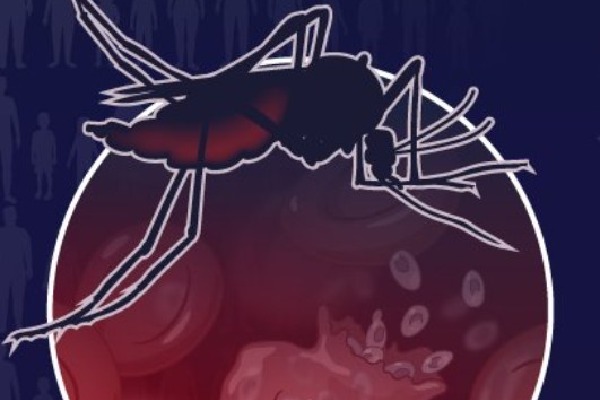 Over 6 lakh lives lost due to malaria in 2024, drug resistance a major threat: WHO