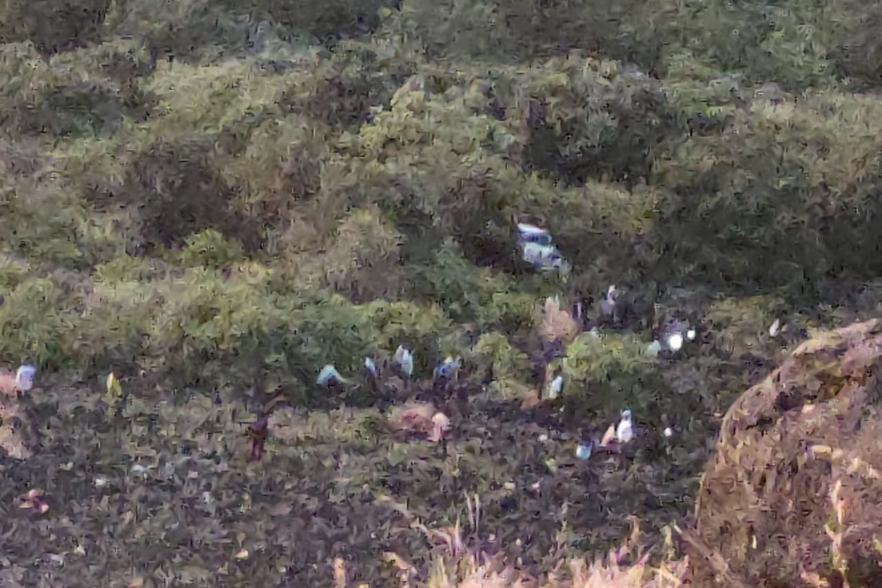 6 killed as car falls into 800-foot ravine in Maharashtra's Nashik; PM Modi expresses grief